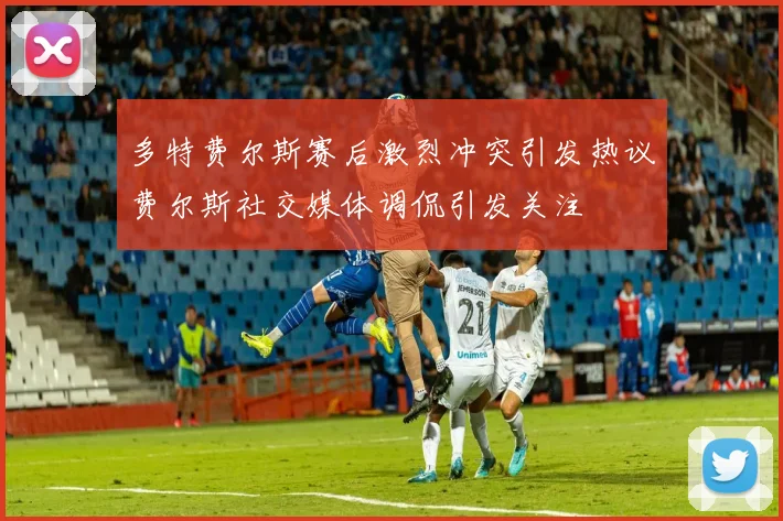 多特费尔斯赛后激烈冲突引发热议费尔斯社交媒体调侃引发关注